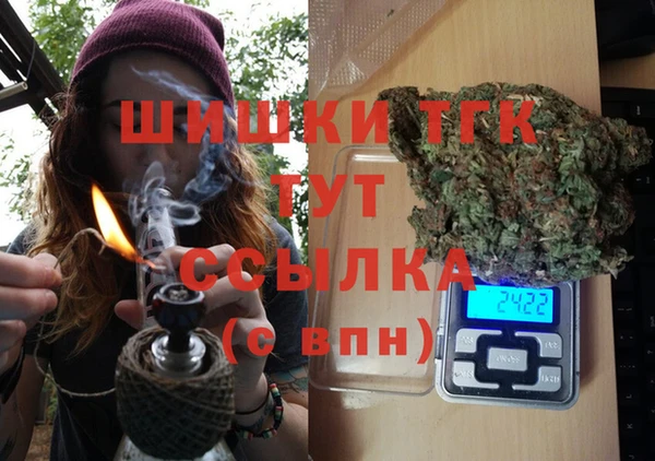 гидра Михайловск